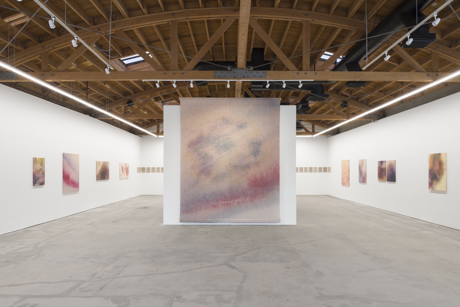 Installation View of Alina Bliumis &amp;quot;Borders and Bruises&amp;quot;, June 2 - July 9, 2022,&amp;nbsp;at Anna Zorina Gallery, Los Angeles.